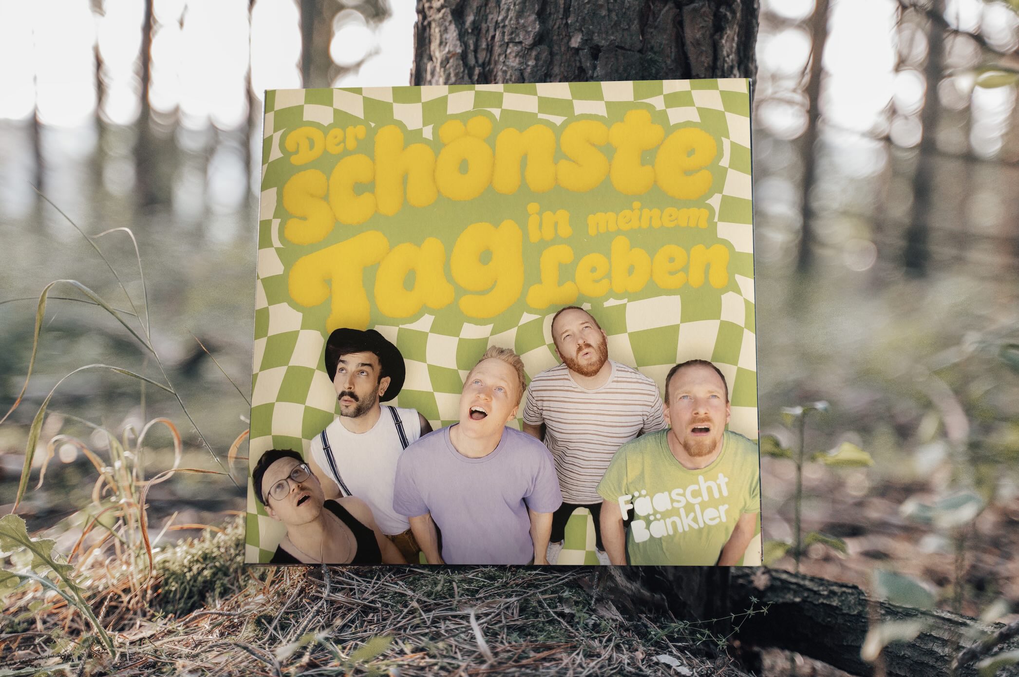 Schallplatte -Der schönste Tag in meinem Leben Schallplatte -Der schönste Tag in meinem Leben