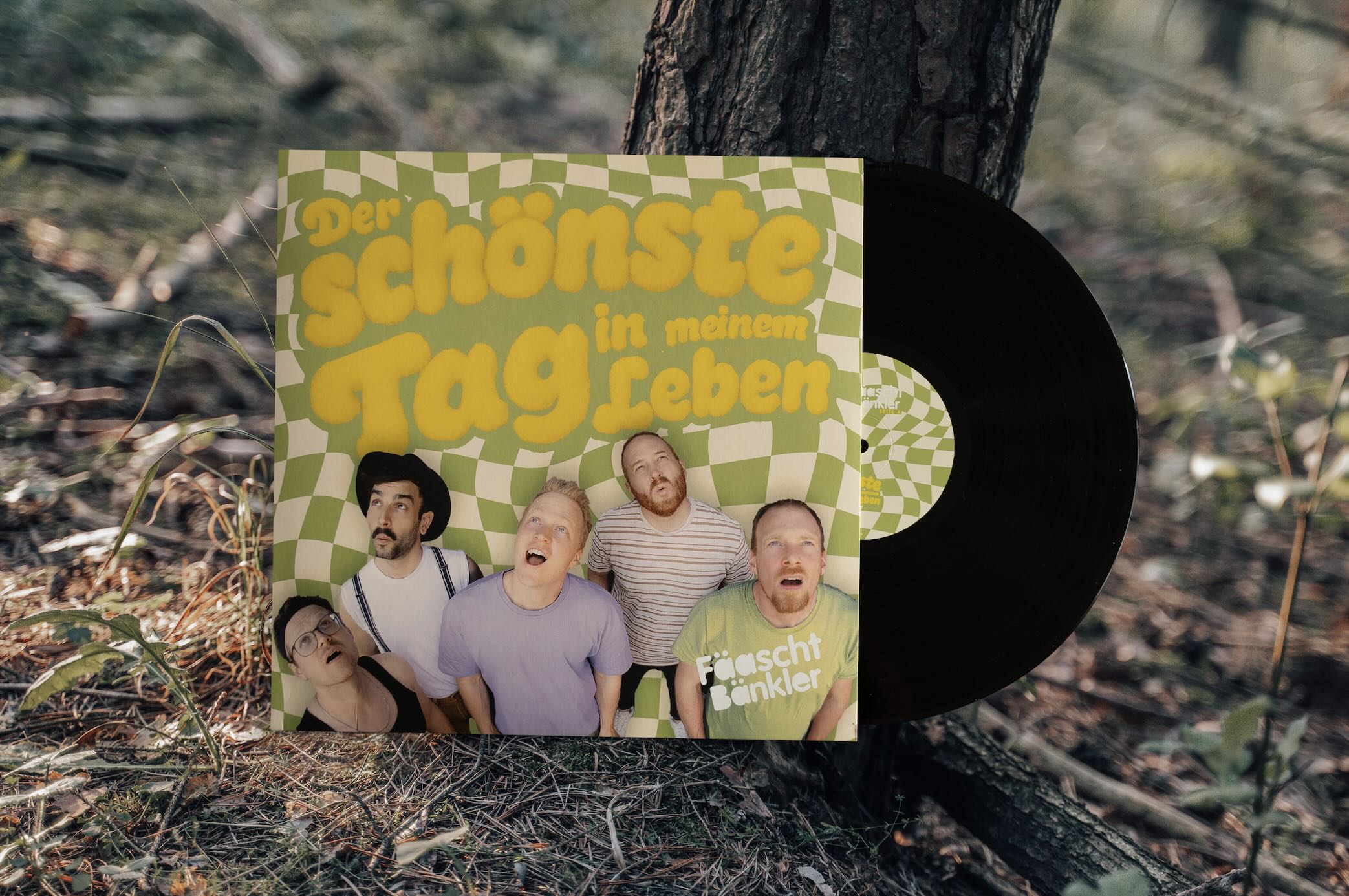 Schallplatte -Der schönste Tag in meinem Leben Schallplatte -Der schönste Tag in meinem Leben